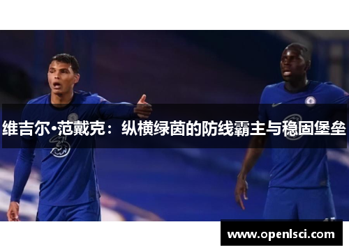 维吉尔·范戴克:纵横绿茵的防线霸主与稳固堡垒 维吉尔·范戴克:纵横绿茵的防线霸主与稳固堡垒