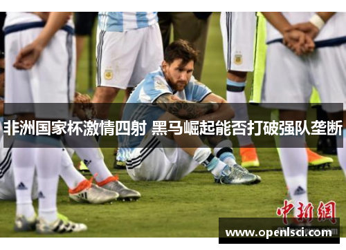 非洲国家杯激情四射 黑马崛起能否打破强队垄断 非洲国家杯激情四射 黑马崛起能否打破强队垄断
