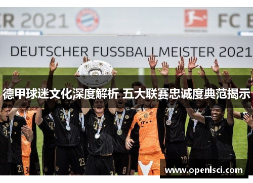 德甲球迷文化深度解析 五大联赛忠诚度典范揭示 德甲球迷文化深度解析 五大联赛忠诚度典范揭示