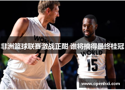 非洲篮球联赛激战正酣 谁将摘得最终桂冠 非洲篮球联赛激战正酣 谁将摘得最终桂冠
